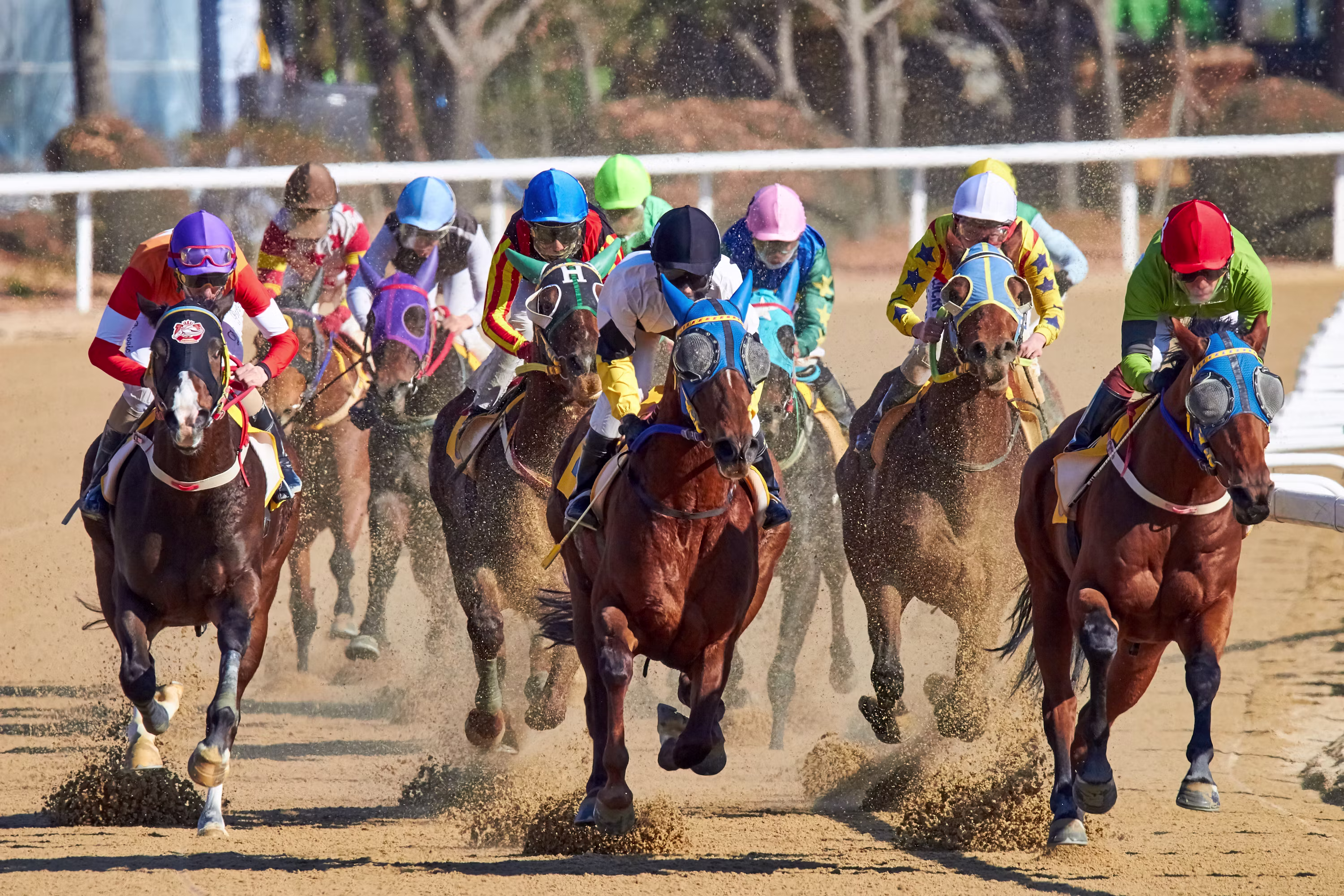 Horse racing ML